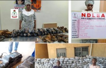 NDLEA Arrests Nigerian-British Grandma With 13kg Cocaine Disguised As Plantains