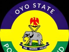Fear In Oyo Community As Gunmen Abduct Farmer, Police Launch Massive Forest Manhunt