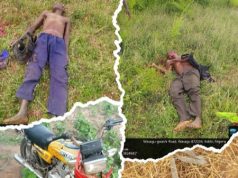 Troops Kill Two Terrorists, Seize Communication Equipment In Kebbi Offensive
