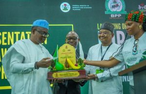 FG Targets Schools, Hospitals With New Healthy Food Procurement Rules