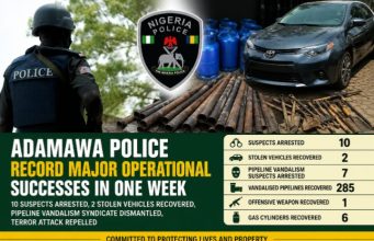 Adamawa Police Arrest 10 Suspects, Recover Stolen Vehicles, Foil Terror Attack In One Week