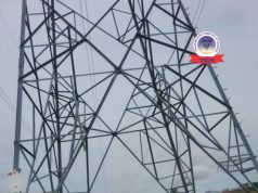 Power Grid Sabotage: Police Arrest Suspect As Vandals Strip Six TCN Transmission Towers