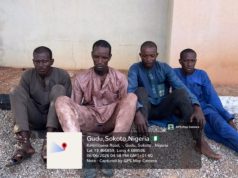 Troops Arrest Four Suspected Lakurawa Terrorists, Recover Rustled Cattle In Sokoto