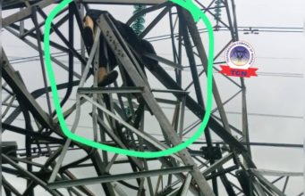 Vandal Crushed To Death Under Collapsed 330kV Tower In Delta