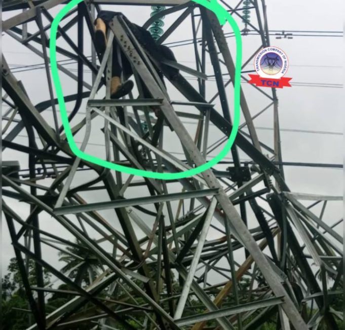 Vandal Crushed To Death Under Collapsed 330kV Tower In Delta