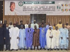Nigeria Targets $50bn To Revive Lake Chad