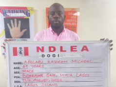 NDLEA Arrests Fleeing Celebrity Drug Kingpin, Seizes N39bn Cocaine Consignment