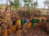 OPHK Dislodges Boko Haram/ISWAP Camp In Adamawa, Kills 21Â