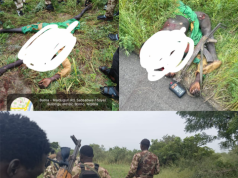 Troops Foil Borno Ambush, Kill Three Terrorists, Recover AK-47