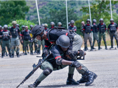 Police Foil Assassination Attempt, Recover Arms In Four States