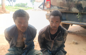 Troops Kill Terrorist Kingpin, Arrest Two Suspects In Katsina