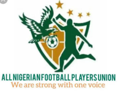 ANFPU Backs NSC Reforms, Calls For Unified Players’ Representation
