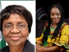 Idam Urges NAFDAC To Verify Claims Of Harmful Chemicals In Sanitary Pads