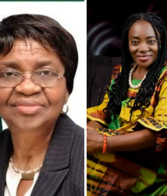 Idam Urges NAFDAC To Verify Claims Of Harmful Chemicals In Sanitary Pads