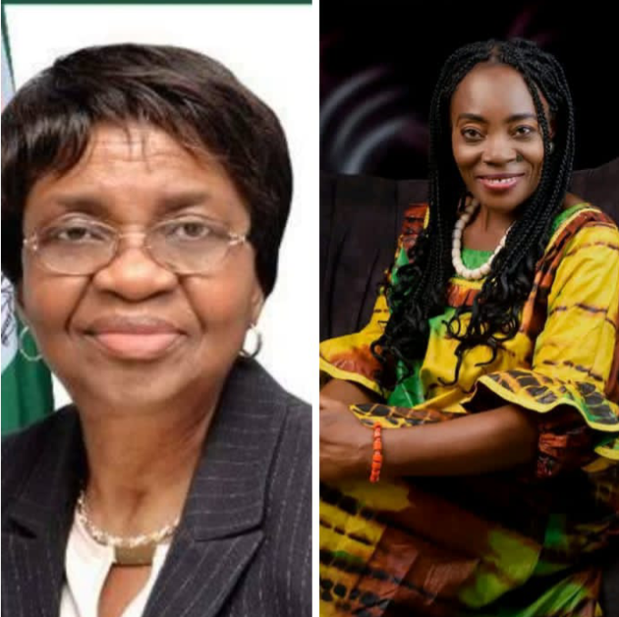 Idam Urges NAFDAC To Verify Claims Of Harmful Chemicals In Sanitary Pads