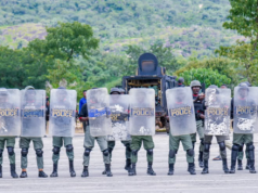 Police Arrest 49 Suspects, Recover Guns, Drugs, Vandalised Cables Across Four States, FCT