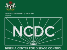 Lassa Fever: Nigeria Records 258 Deaths, Fatality Rate Rises To 24%