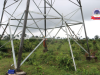 TCN Rehabilitates Four Vandalised Towers On Afam-Elelenwo 132kV Line