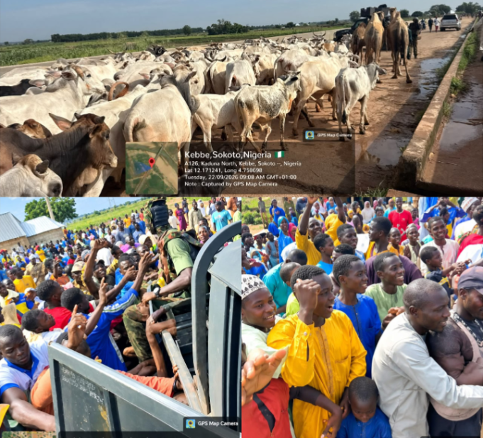 Army Foils Bandit Attack, Recovers Rustled Cattle In Sokoto