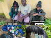 Army Arrests Three Suspected Terrorists With ₦2.7m Ransom In Katsina