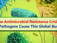 AMR Is Not Just Killing Patients, It Is Costing Families Their Livelihoods – WHO