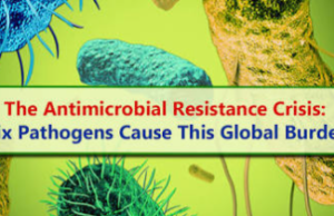 AMR Is Not Just Killing Patients, It Is Costing Families Their Livelihoods – WHO