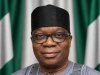 Nigeria Wants Africa To Make Trade The Engine Of Diplomacy
