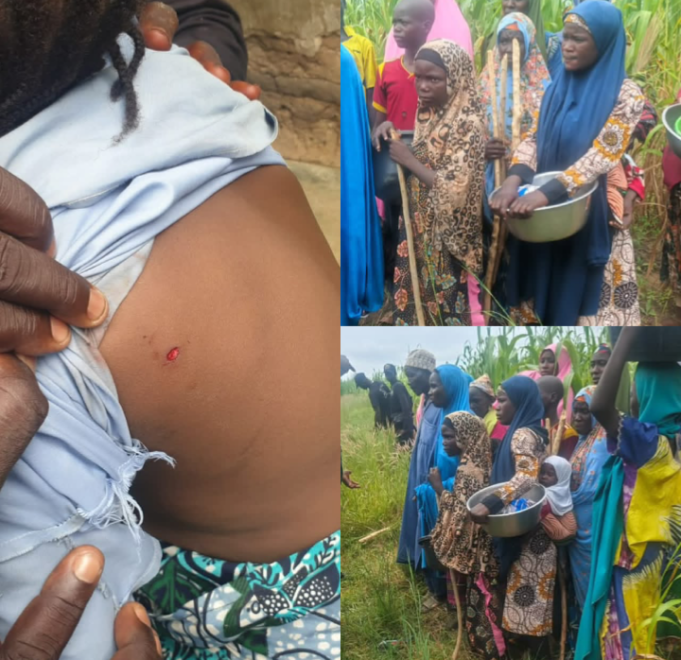 Katsina Traditional Rulers Praise Security Forces For Foiling Mass Abduction