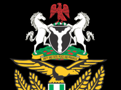 NAF Air Support Disrupts Kidnappers’ Operation In Benue
