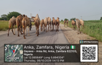 Troops Repel Bandits In Zamfara, Recover 73 Rustled Animals