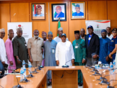 FG Moves To Protect Power Infrastructure, Tackle Vandalism