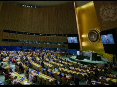 153 Countries Back UN Pandemic Declaration, But Global Health Leaders Demand Urgent Action