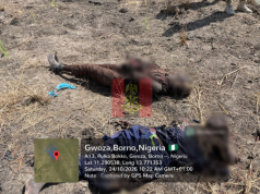 Troops Strike Terrorists, Kill 15 In Borno Air Raid