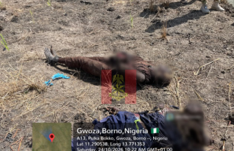 Troops Strike Terrorists, Kill 15 In Borno Air Raid