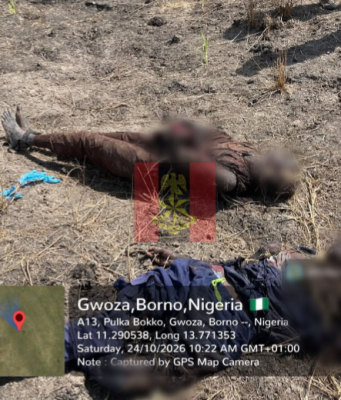 Troops Strike Terrorists, Kill 15 In Borno Air Raid