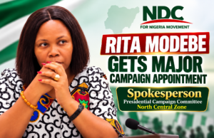 Rita Modebe Gets Major Campaign Appointment In NDC