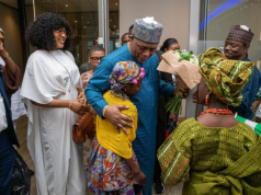 Fani-Kayode Begins SA Mission, Vows To Rebuild Ties