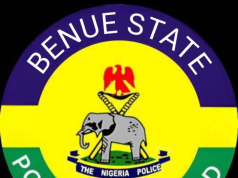 Benue Police Rescue 29 Kidnap Victims, Arrest 48 Suspects